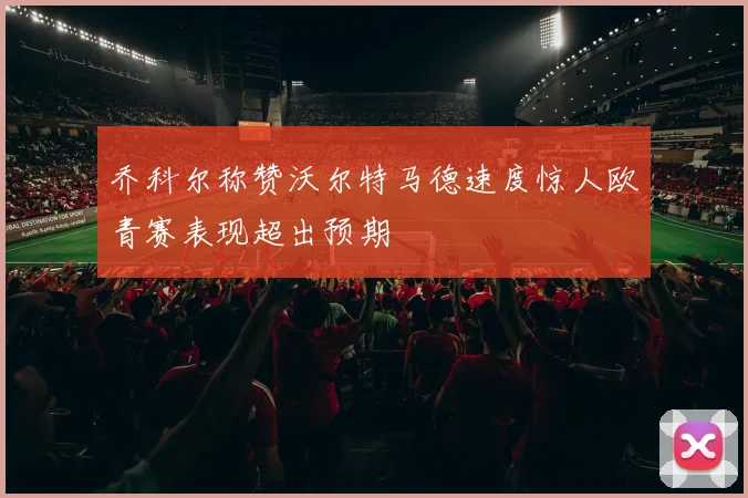乔科尔称赞沃尔特马德速度惊人欧青赛表现超出预期