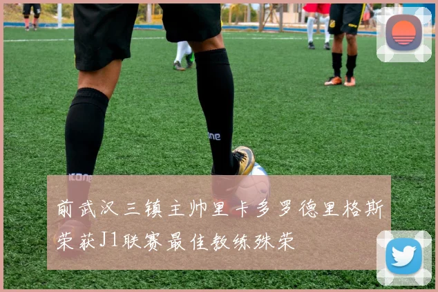 前武汉三镇主帅里卡多罗德里格斯荣获J1联赛最佳教练殊荣