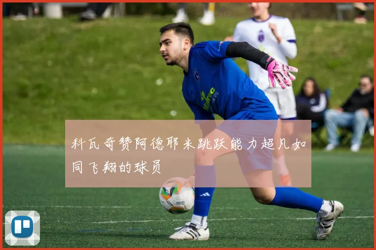 科瓦奇赞阿德耶米跳跃能力超凡如同飞翔的球员