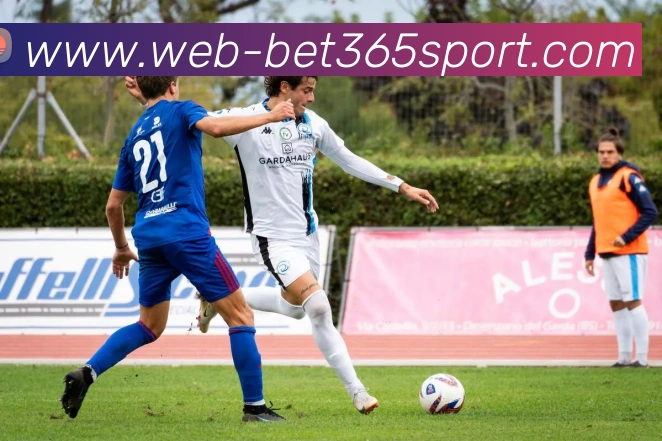 App Interface Preview